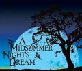 The Inessential Shakespeare