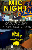 Mic Night