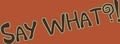 Say What?