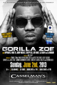 Gorilla Zoe