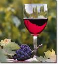 2013 Southern Nm Wine Festival