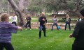 Dancers, Fighters & Fellow Travelers
