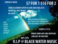 Vip Show:  Dancers, Bands, Comedians, Artist And Soooo Much More!!