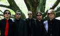 Sons Of Bluegrass