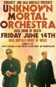 Unknown Mortal Orchestra, Bass Drum Of Death