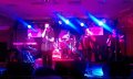 Royal Scam "a Tribute To Steely Dan"
