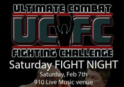 Ultimate Combat Fighting Challenge