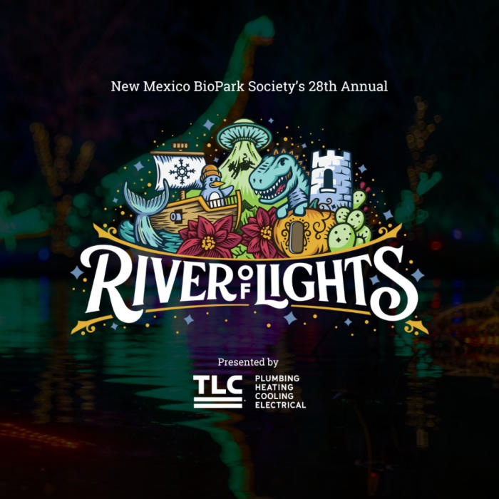 General Admission Ticket: River of Lights: A Holiday Light Show