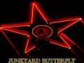 Junkyard Butterfly * Facing Allodox * Morningstar
