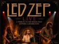 LED ZEP LIVE