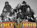 FREEBIRD ATL - The Ultimate Lynard Skynard Experience
