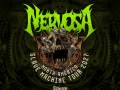 Nervosa * Embryonic Autopsy * Nocturne
