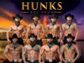 Hunks The Show 