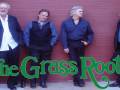 The Grass Roots