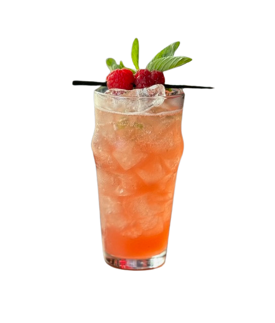 Watermelon Mojito