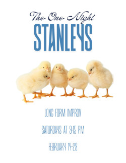 The One Night Stanleys