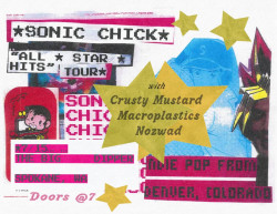 Sonic Chick