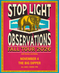 Stop Light Observations