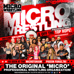 MICRO WRESTLING FEDERATION