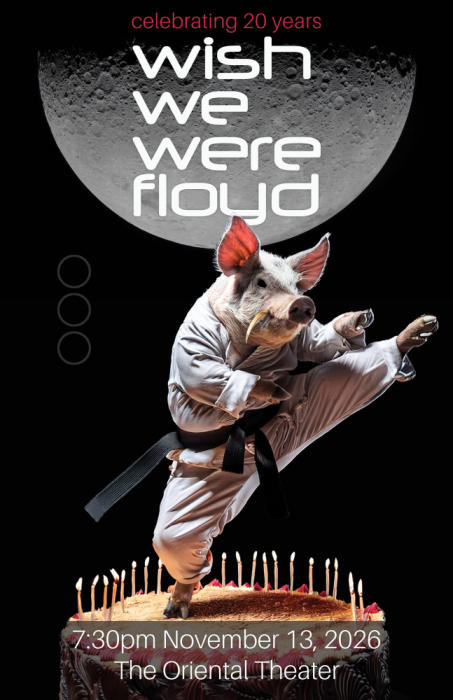 Wish We Were Floyd - Pink Floyd Tribute